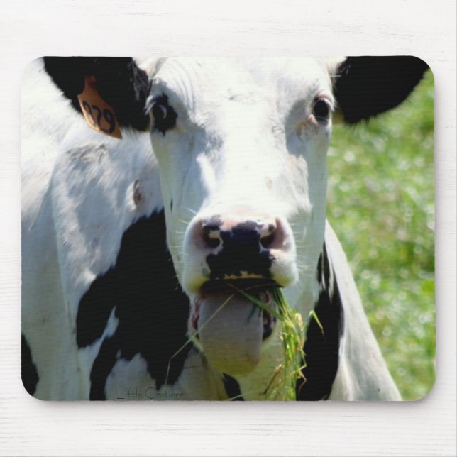 "Wer ich " Mousepad (Vorne)