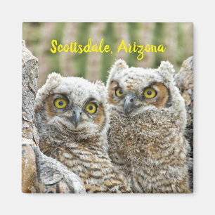 Wer ist da? Paar der Scottsdale von Owl, Arizona M Magnet