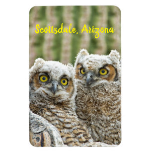 Wer ist da? Paar von Owells Scottsdale, Arizona Magnet