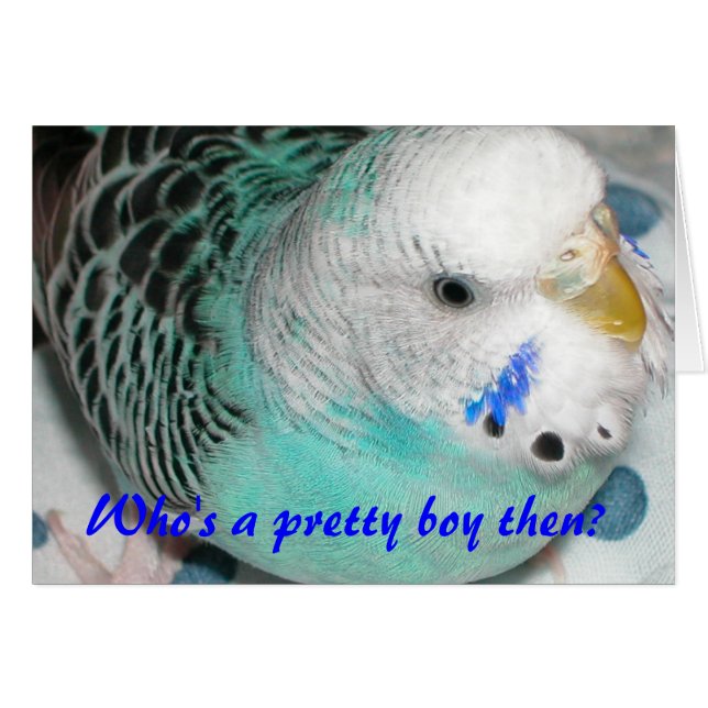 Wer ist dann ein hübscher Junge? (Vorderseite (Horizontal))