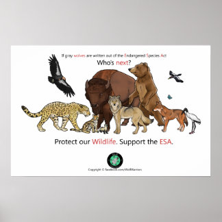 Wer ist das nächste Poster? Poster