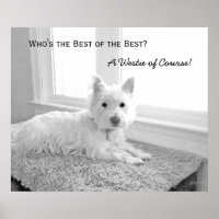 Wer ist die Beste der Besten? Ein Westie of Course