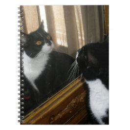 Wer ist dieser hübsche Typ? Notizblock