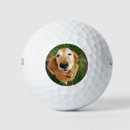 Wer ist ein guter Junge Golfball