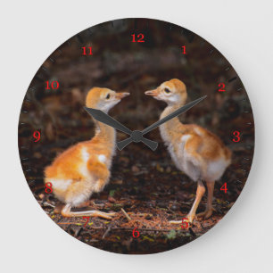 Wer ist größer? Sandhühnchen Große Wanduhr