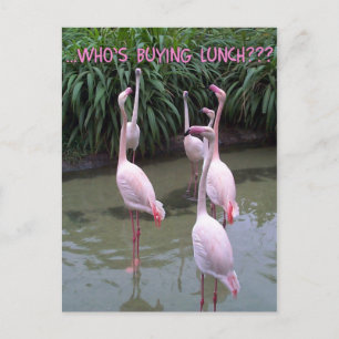 Wer kauft das Mittagessen? Postkarte