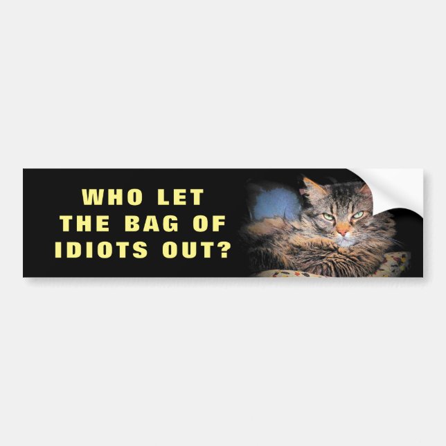 Wer ließ die Tasche der Idioten heraus? CAT Meme Autoaufkleber (Vorne)