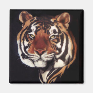 Wer regal ist magnet