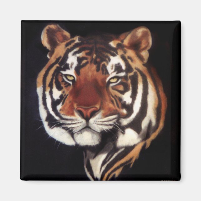 Wer regal ist magnet (Vorne)