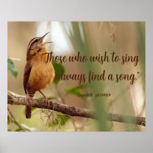 Wer Singen möchte, findet einen Song Gesang Bird Poster