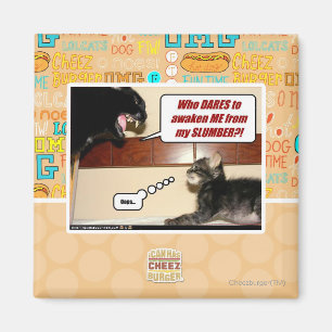 Wer wagt es, mich zu wecken? magnet