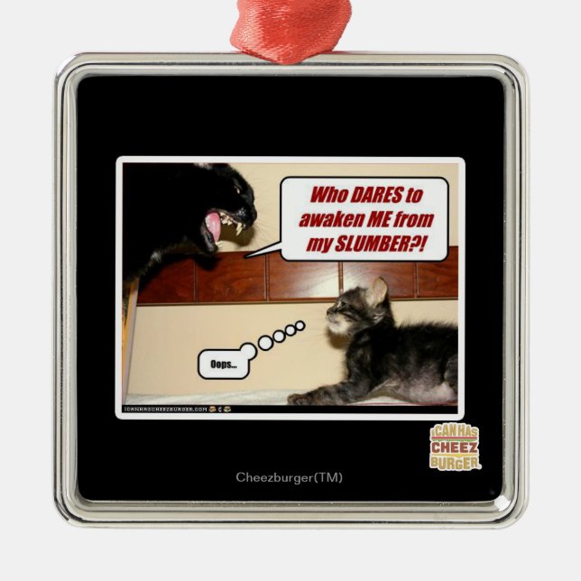 Wer wagt mich zu wecken? silbernes ornament (Vorne)