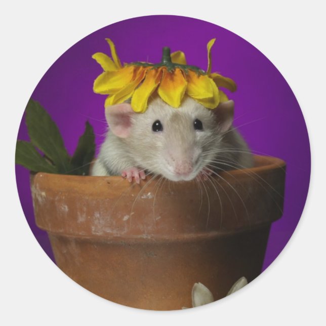 Wer war in den Blume? Runder Aufkleber (Vorderseite)