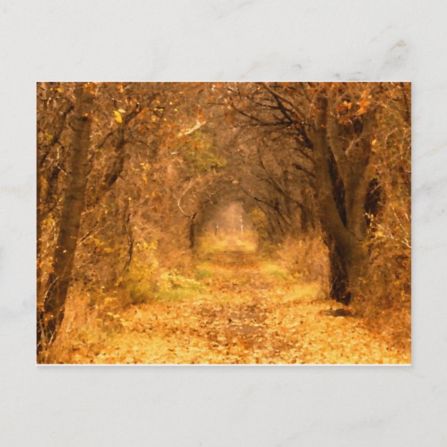 Wer weiß, wohin der Weg führt? Postkarte (Vorderseite)