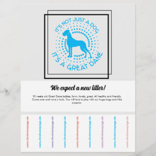 Werbeflyer für Welpen Verkauf Flyer