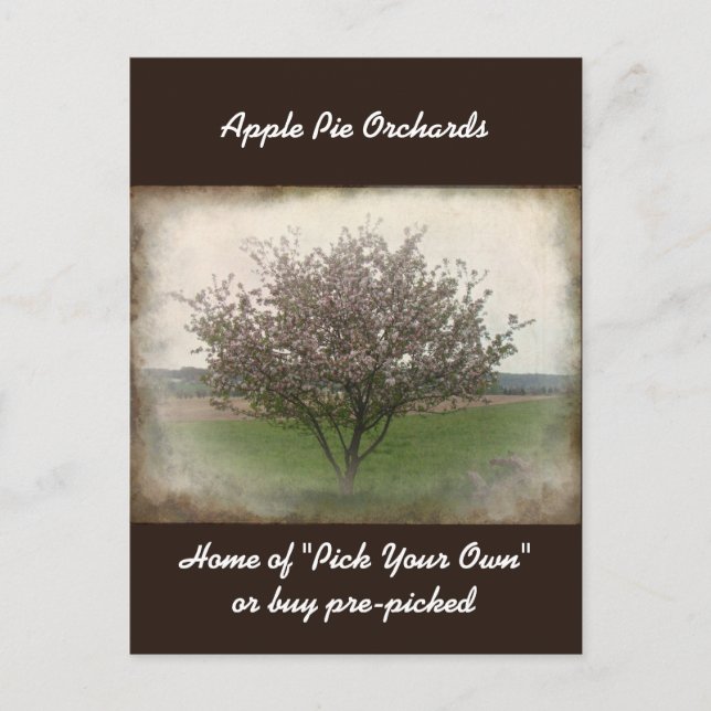 Werbung für Apple Tree in Bloom Postcard Postkarte (Vorderseite)
