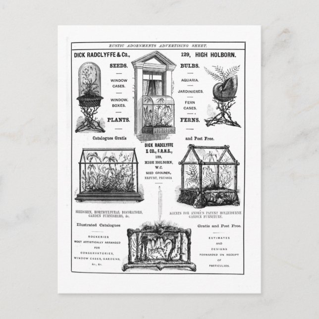 Werbung für "Dick Radclyffe & Co." Rustikale Werbu Postkarte (Vorderseite)