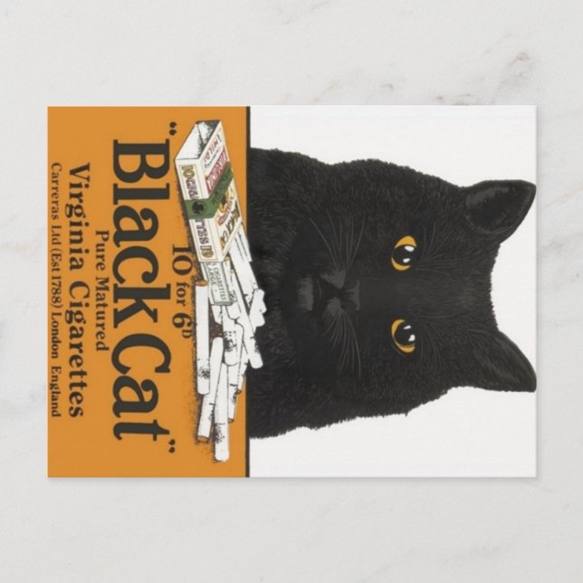 Werbung für die Zigarettenmarke "Black Cat Virgini Postkarte (Vorderseite)