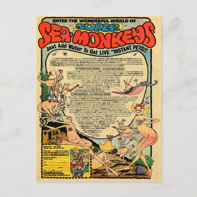 Werbung für Vintage Meeressäuger Postkarte (Vorderseite)