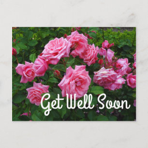 Werde bald wieder gesund Gene Boerner Rose #2 Post Postkarte