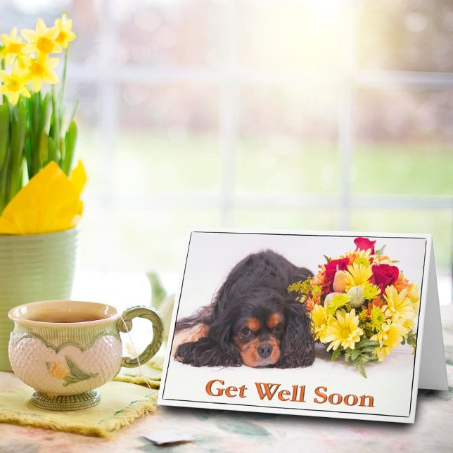 Werde Gesund Cavalier King Charles Spaniel Karte (Von Creator hochgeladen)