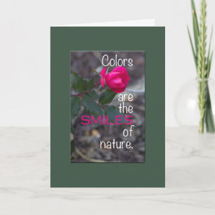 Werde Gesund Einzelne rosa Rose Foto grüner Rand Karte