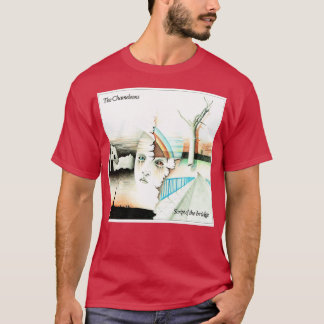 Wert das Chameleons-Skript der Brücke nicht fehlsc T-Shirt