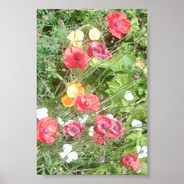 Werteplakat für Wiesenpflanzen - Sehr klein Poster (Vorne)