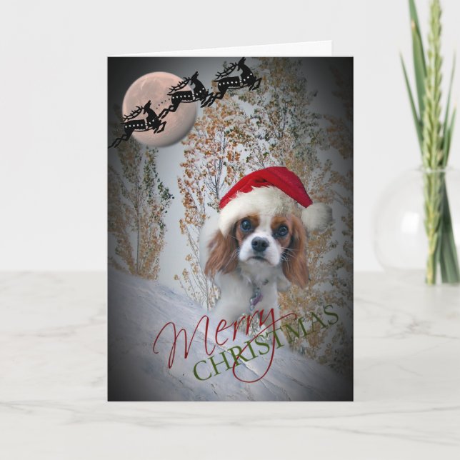Wertvoll Cavalier King Charles Weihnachtskarten Feiertagskarte (Vorderseite)