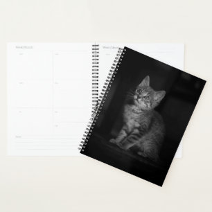 Wertvoll Kitten Planer