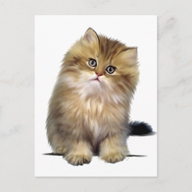 Wertvoll Kitten Postkarten (Vorderseite)