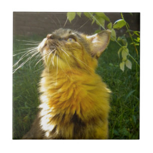 Wertvoll Kitty Tile Trivet Fliese