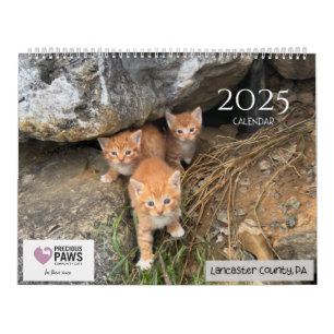 .Wertvoll Paws 2025 Calendar. Kalender