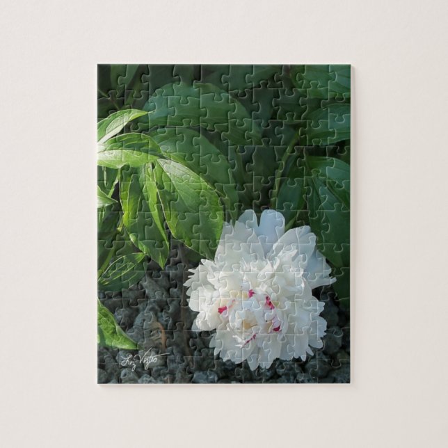 Wertvoll Peony Puzzle (Vertikal)