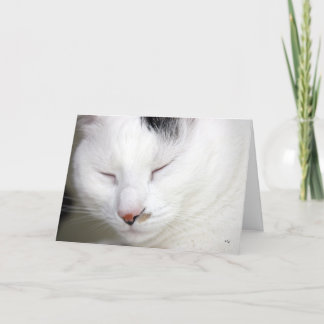 Wertvolle 2, erhalten gut bald karte