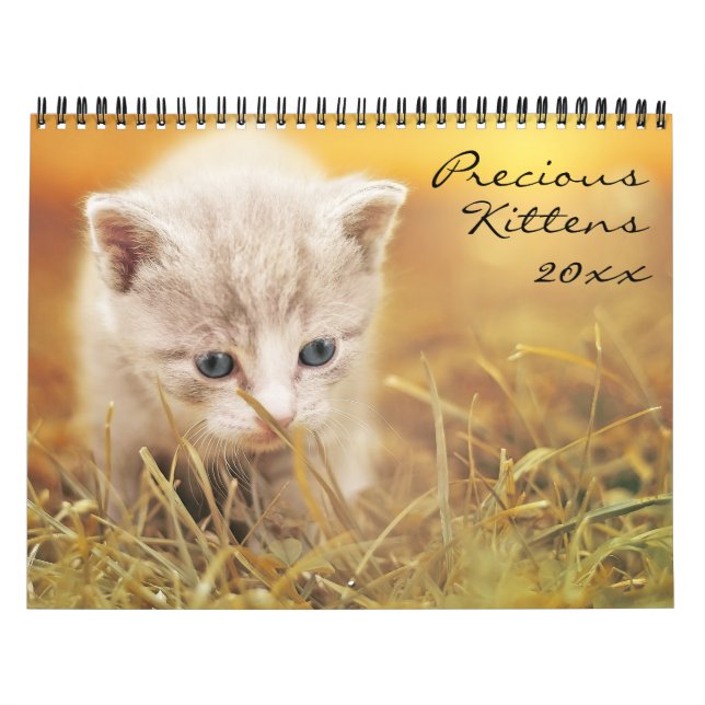 Wertvolle Kätzchen Kalender (Titelbild)