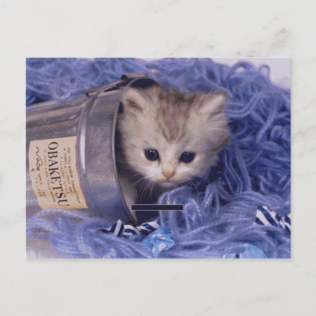 Wertvolle Katzen- und Kittenfotos, Geschenke, Post Postkarte (Vorderseite)