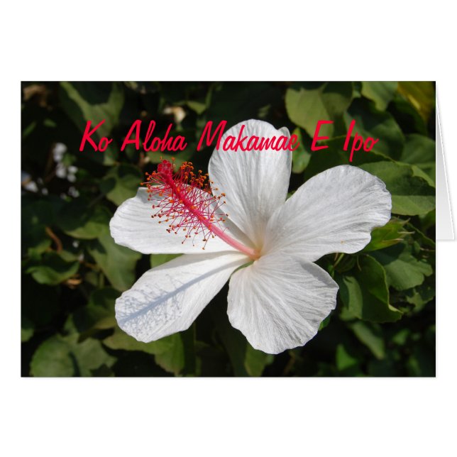 Wertvolle Liebe Weiße Hibiskus-Karte (Vorderseite (Horizontal))