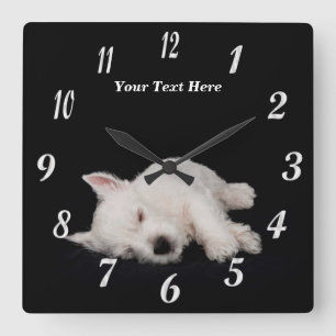 Wertvolle Nickerchen machende Westie Quadratische Wanduhr