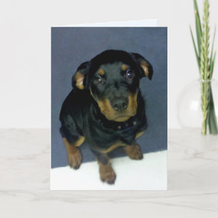 Wertvolle Rottweiler-Welpengrüßkarte Karte