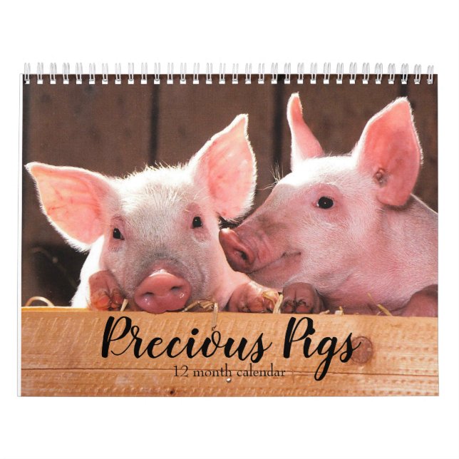 Wertvolle Schweine 2026 Kalender (Titelbild)