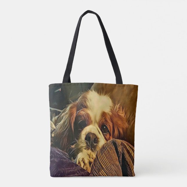 Wertvolle unbekümmerte Königcharles Tasche (Rückseite)