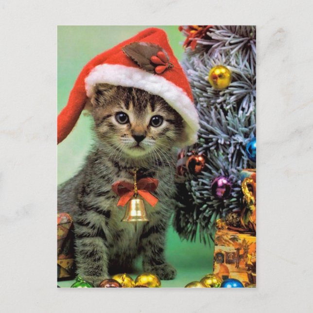 Wertvolle Weihnachtskatze Feiertagspostkarte (Vorderseite)