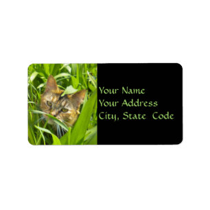Wertvoller Dschungel - Kitty Address Labels Adressaufkleber