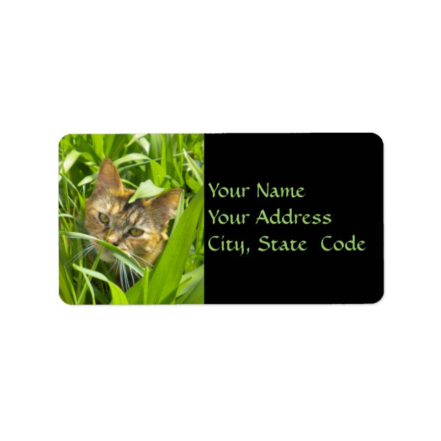 Wertvoller Dschungel - Kitty Address Labels Adressaufkleber (Vorne)