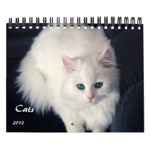 Wertvoller Kalender der Katzen-2012
