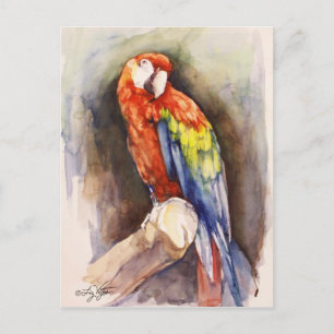 Wertvoller Papageienpostkarte Postkarte