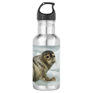 Wertvolles Baby-Siegel Edelstahlflasche