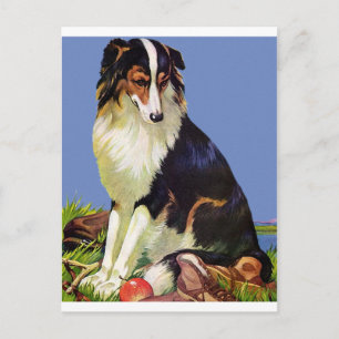 Wertvolles Haustier Postkarte