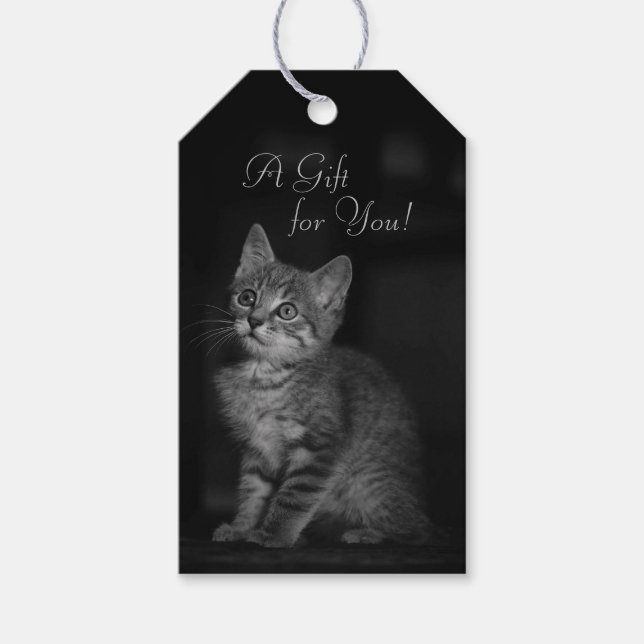 Wertvolles Kitten ein Geschenk für Ihren benutzerd Geschenkanhänger (Vorderseite)